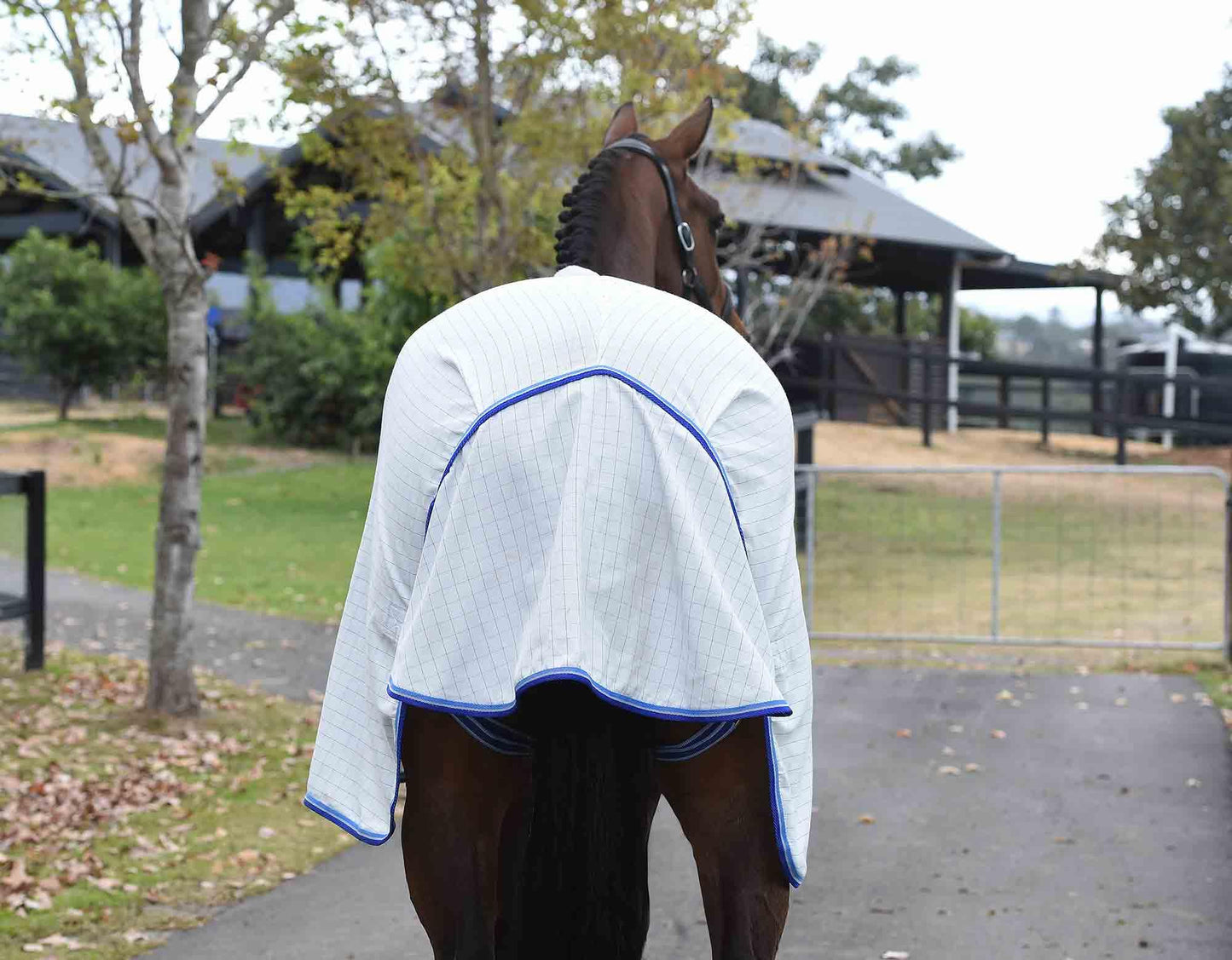 Kingsley Ripstop Horse Rug