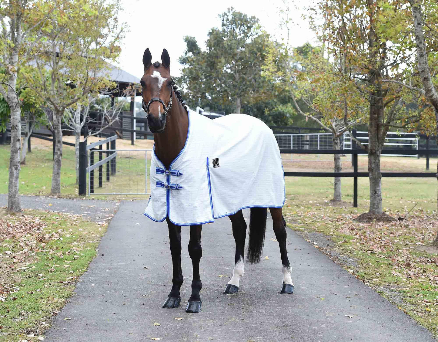 Kingsley Ripstop Horse Rug