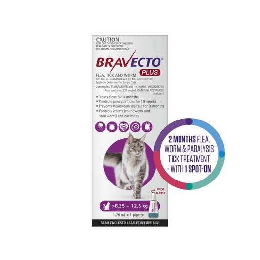 Bravecto Plus Flea, Tick & Worming Treatment 6.25-12.5kg Cat
