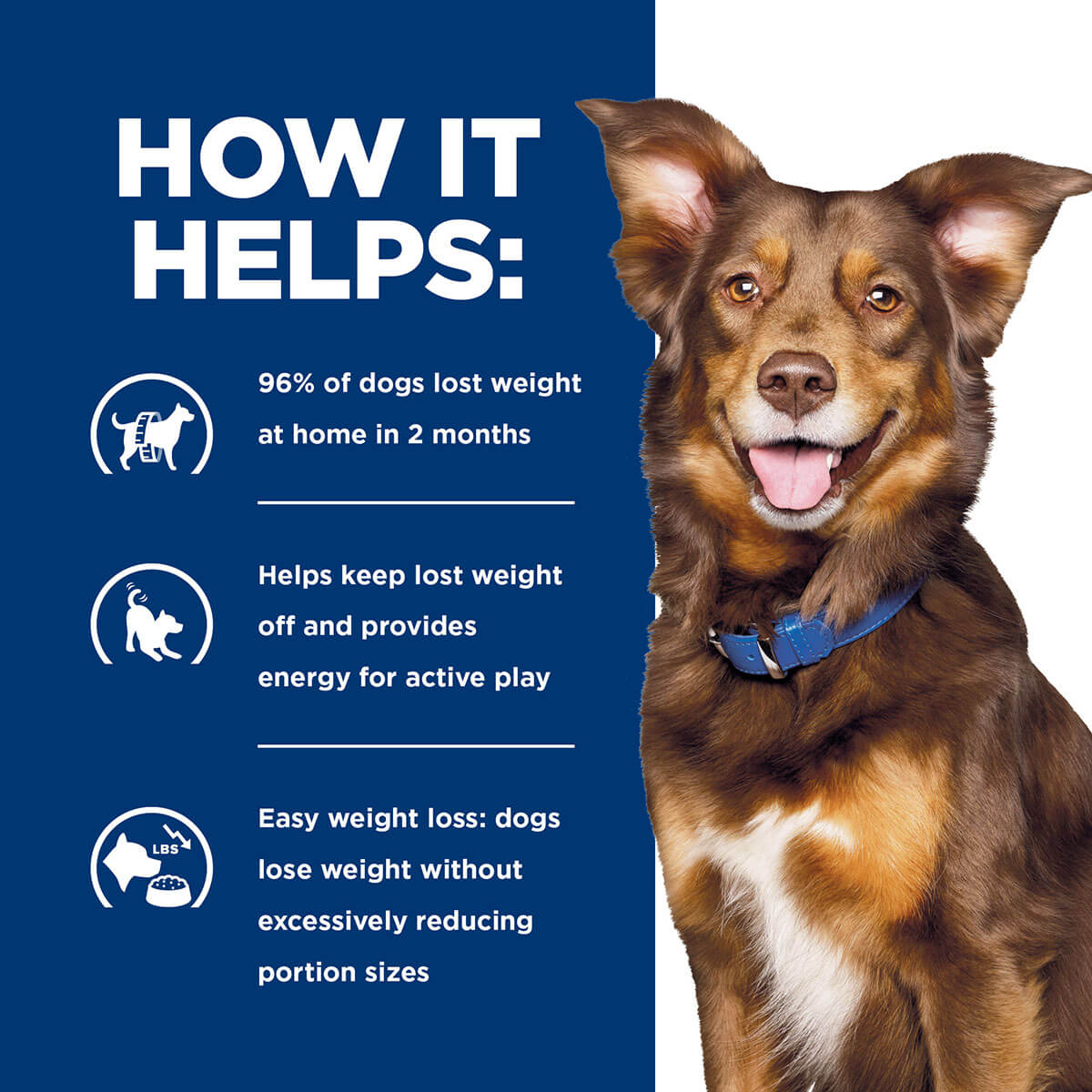 Hill's Prescription Diet Metabolic Weight Management Dry Dog Food 3.5kg