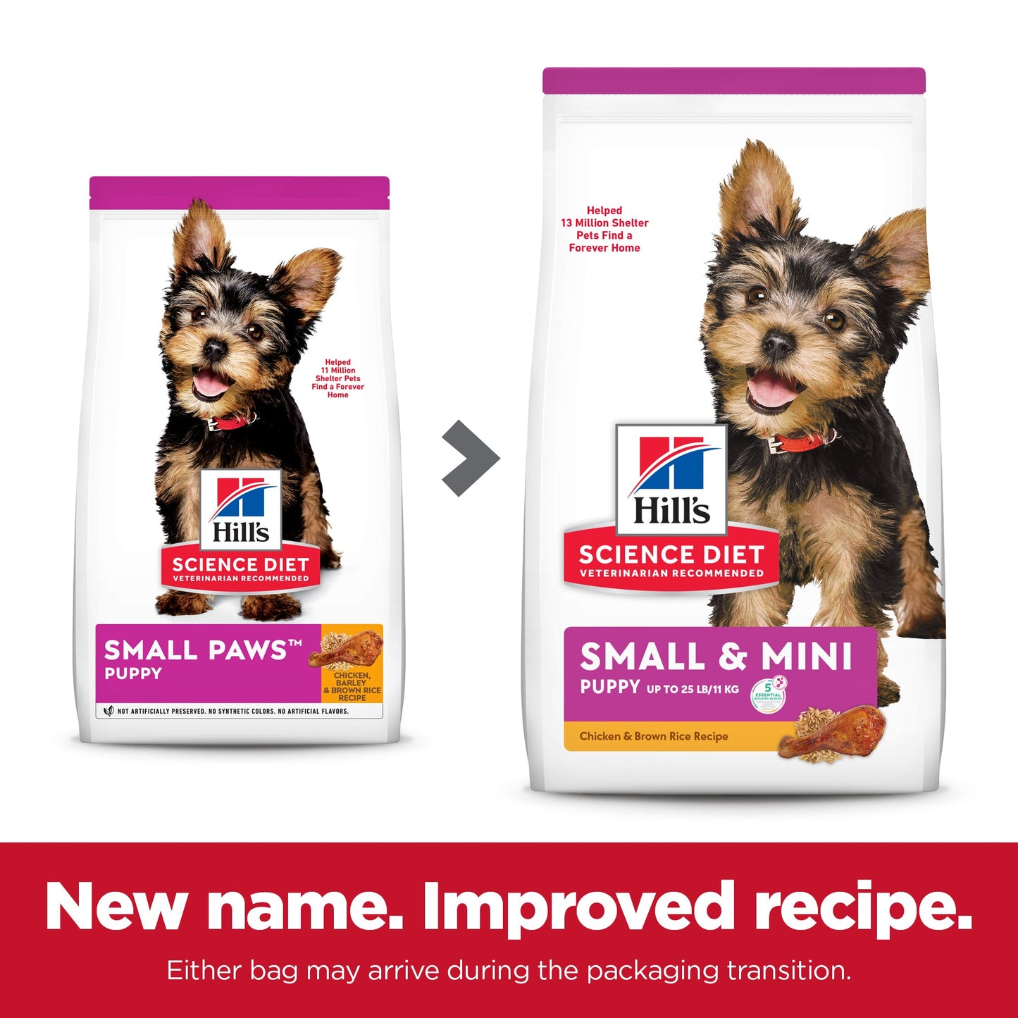 Hill's Science Diet Puppy Small & Mini Dry Dog Food