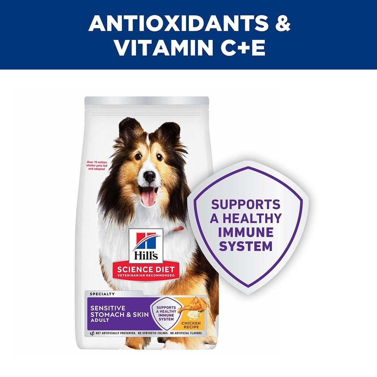 Hill's Science Diet Sensitive Stomach & Skin Adult Dry Dog Food