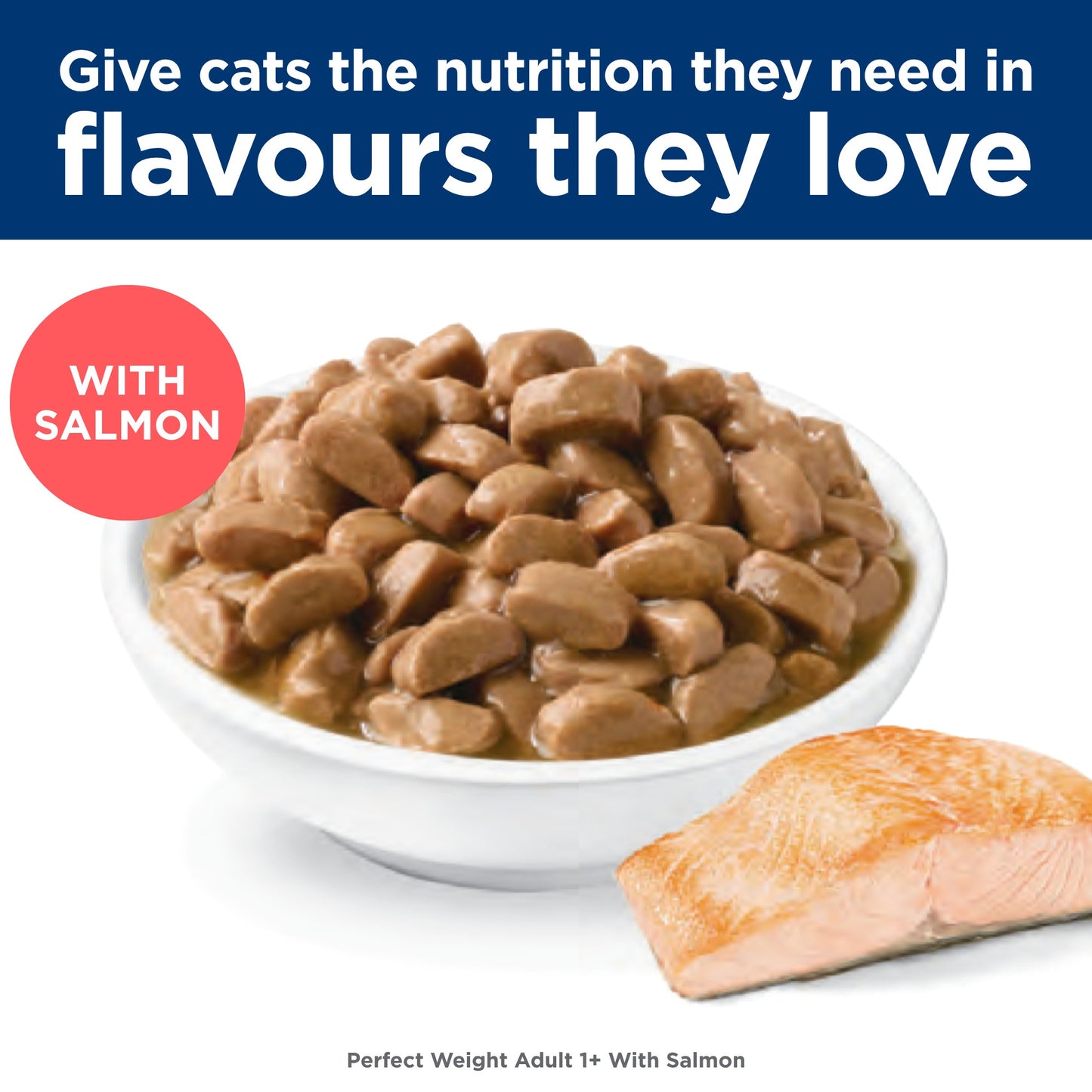 Hill's Science Diet Perfect Weight Adult Salmon Wet Cat Food
