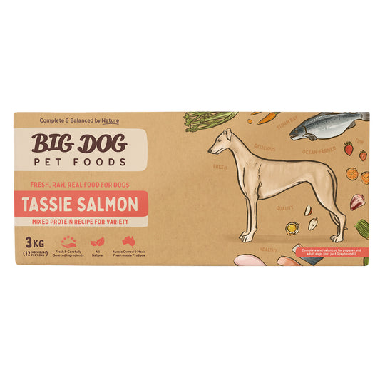 Big Dog Tasmanian Salmon Raw Dog Food 3kg