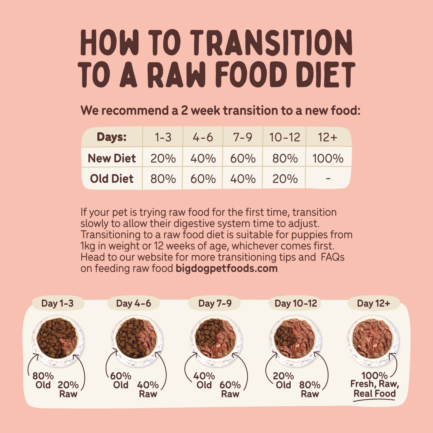 Big Dog BARF Tasmanian Salmon Raw Dog Food