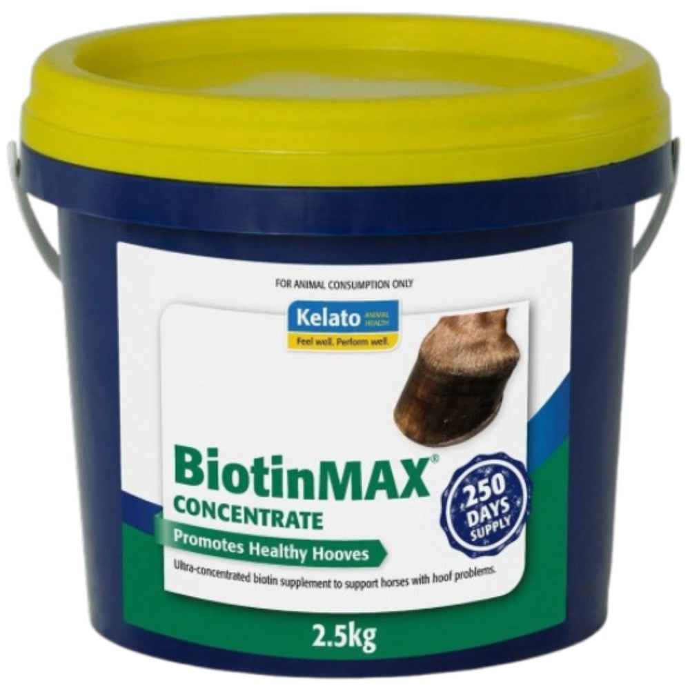 Kelato Biotinmax Concentrate