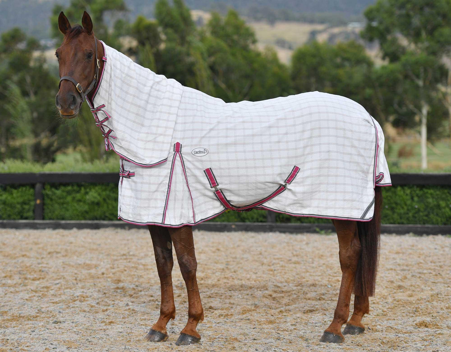 Caribu Ripstop Combo Horse Rug