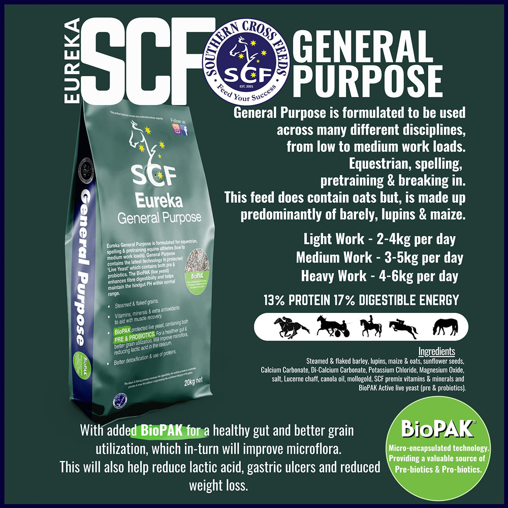 Eureka General Purpose 20kg