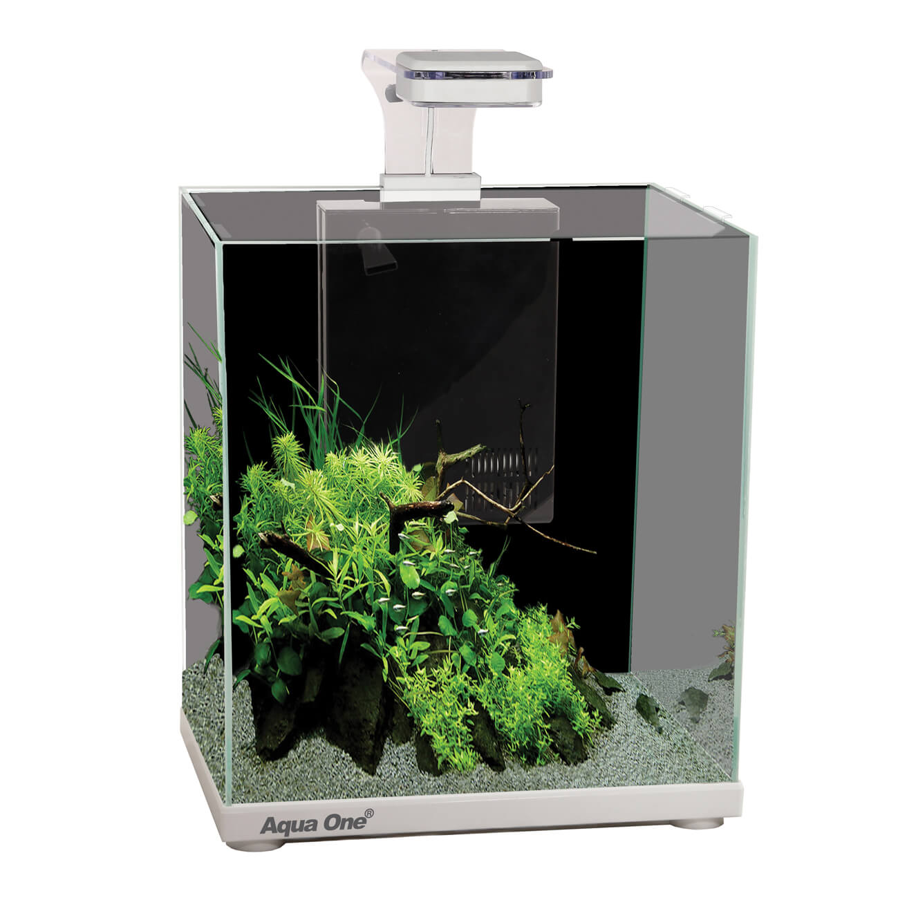 Aqua One Focus 23L Glass Aquarium