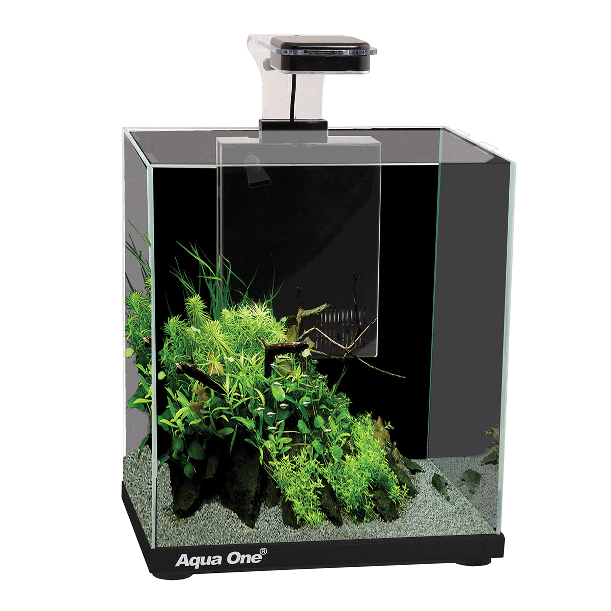 Aqua One Focus 23L Glass Aquarium