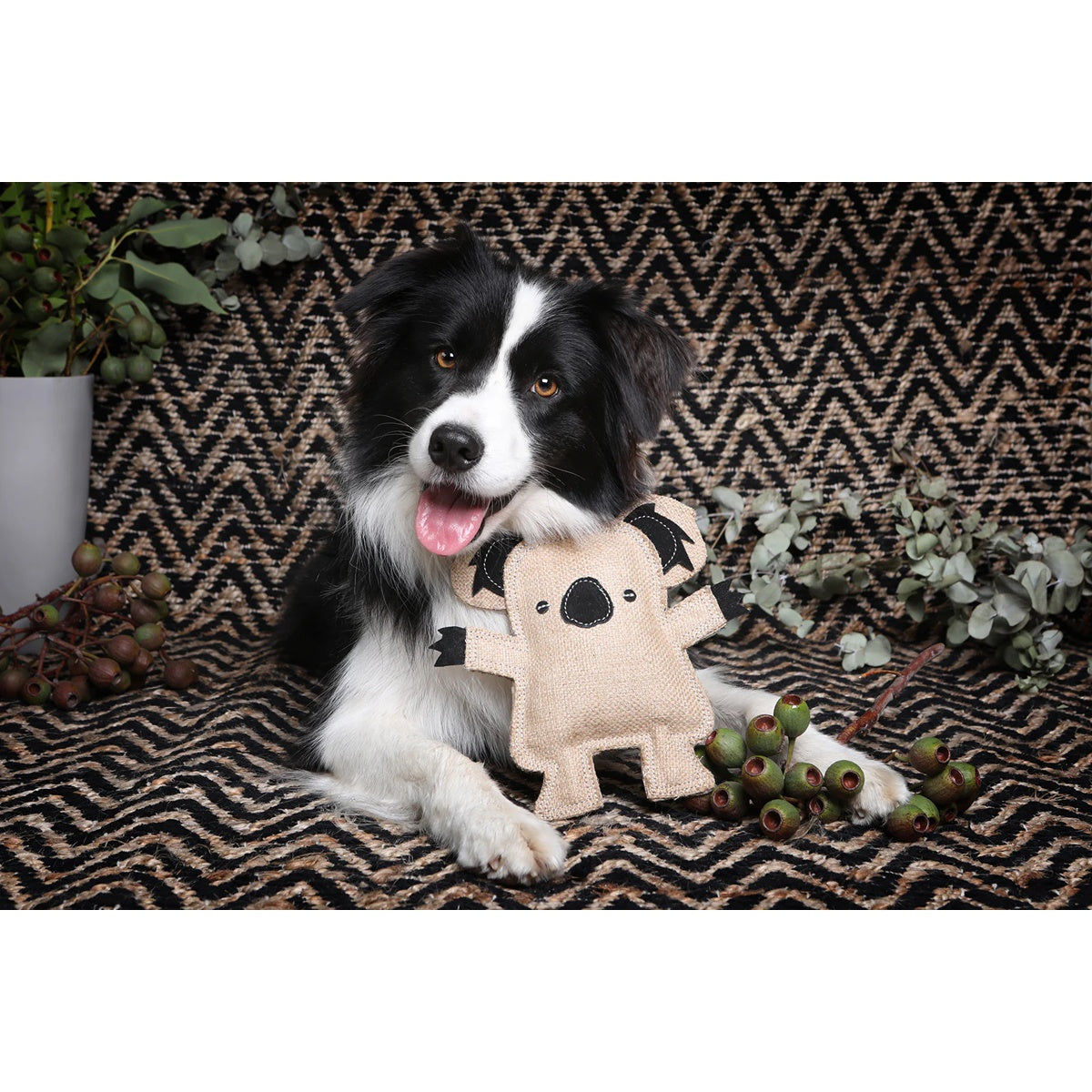 Outback Tails Kevin The Koala Jute Dog Toy