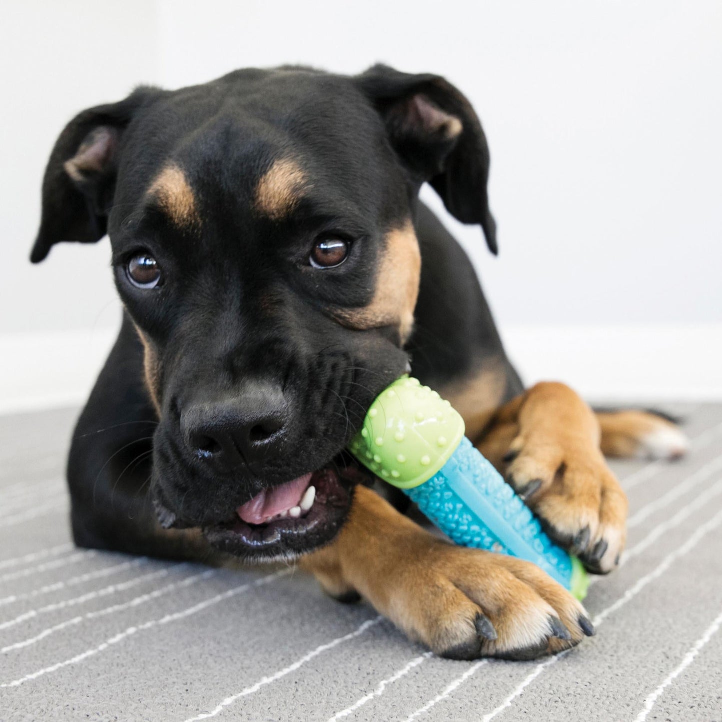 KONG Wubba Weaves with Rope Dog Toy X Large