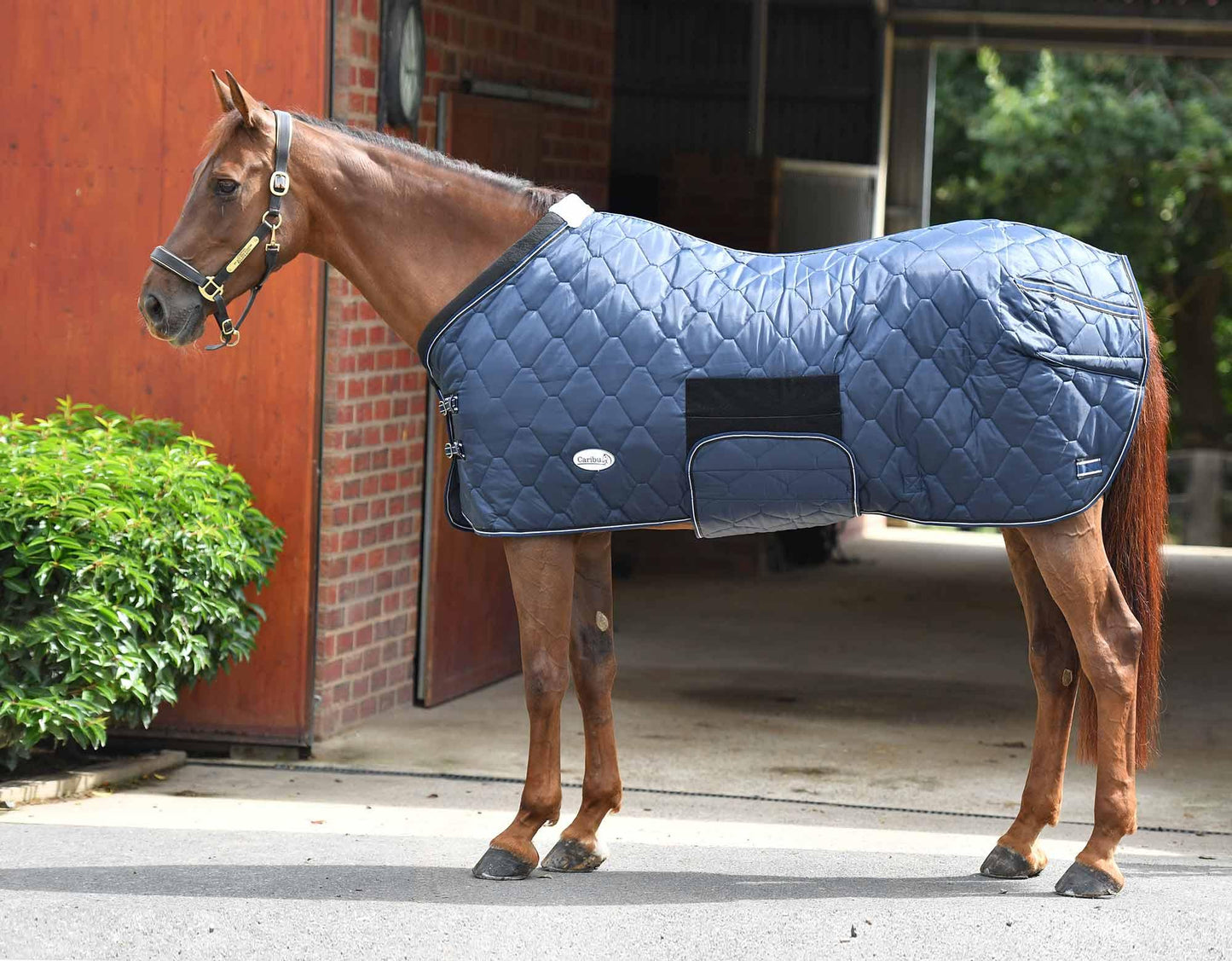 Caribu Quilted Stable Rug