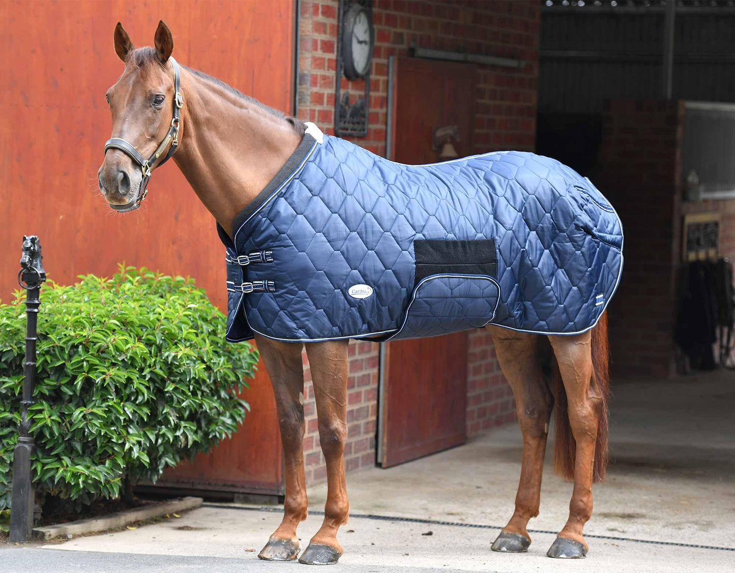 Caribu Quilted Stable Rug