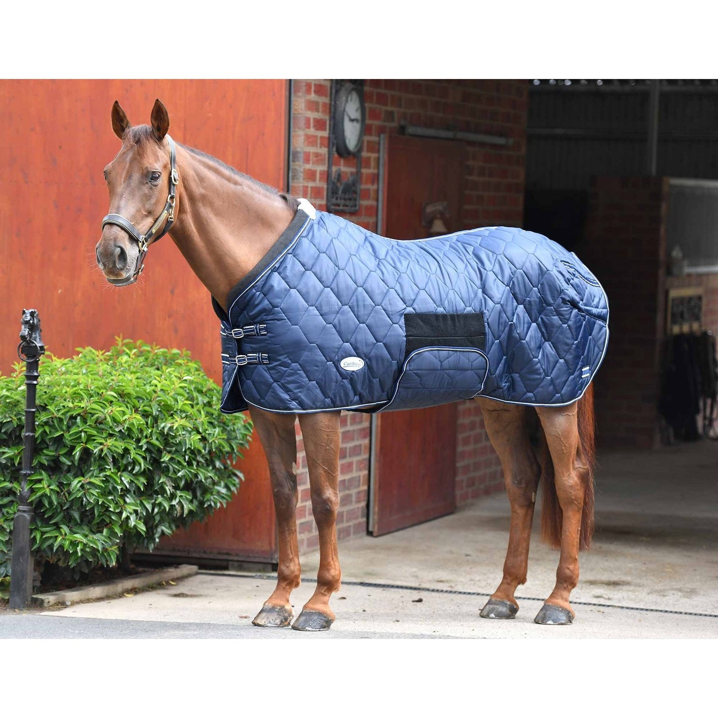 Caribu Quilted Stable Rug