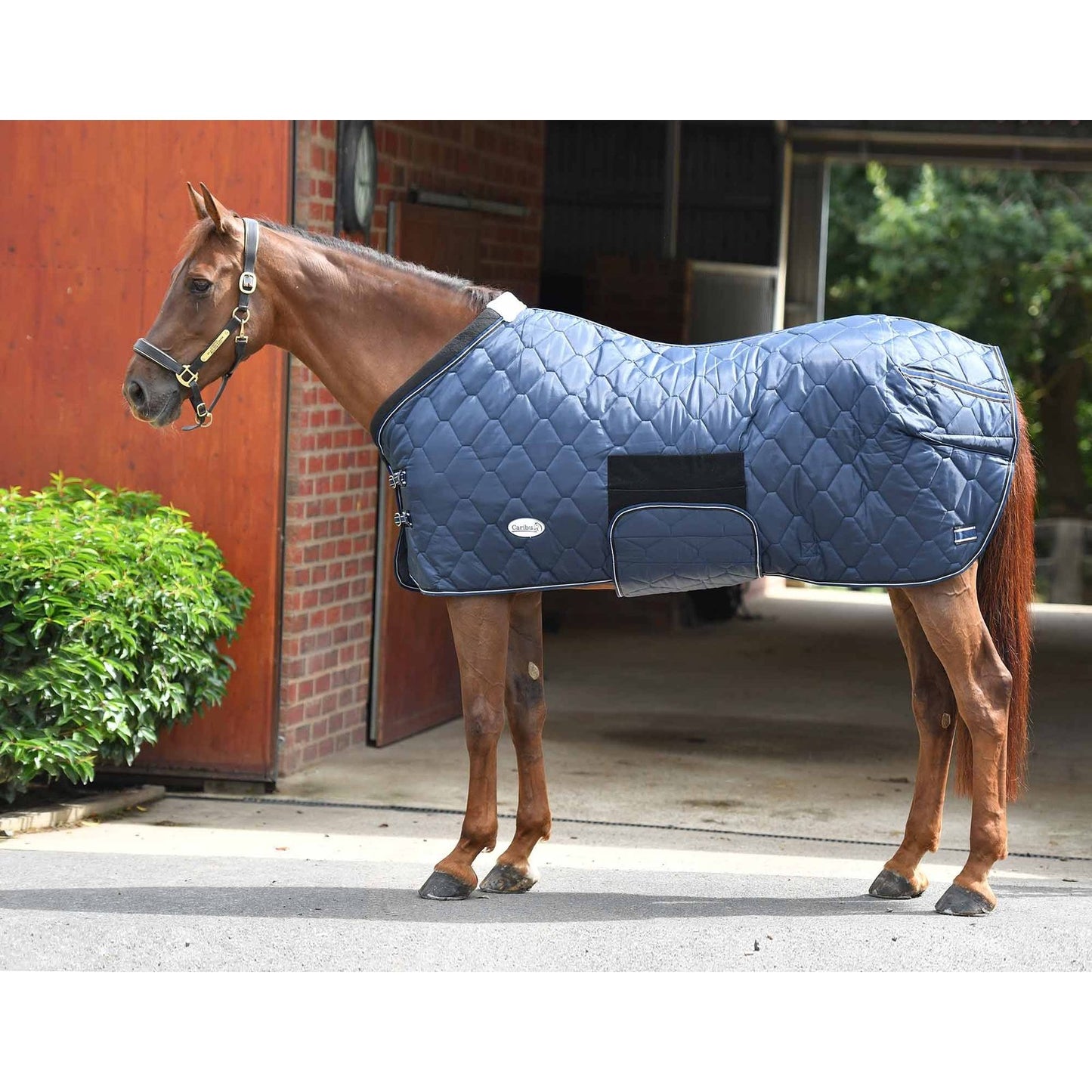 Caribu Quilted Stable Rug