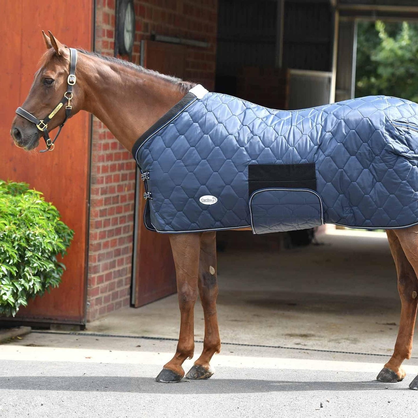 Caribu Quilted Stable Rug