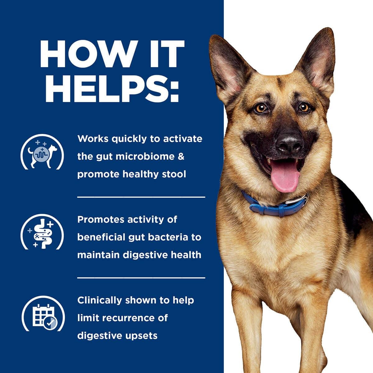 Hill's Prescription Diet Gastrointestinal Biome Care Dry Dog Food