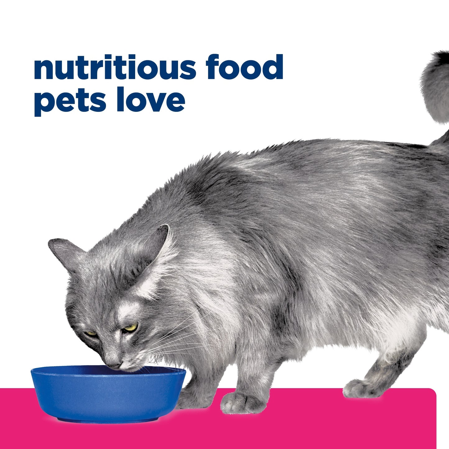 Hill's Prescription Diet Gastrointestinal Biome Care Chicken & Vegetable Wet Cat Food