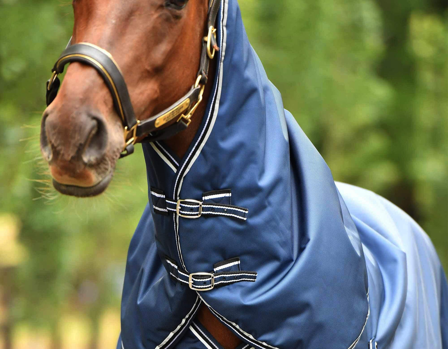 Caribu Colorado Detach-a-Neck Horse Rug 250g