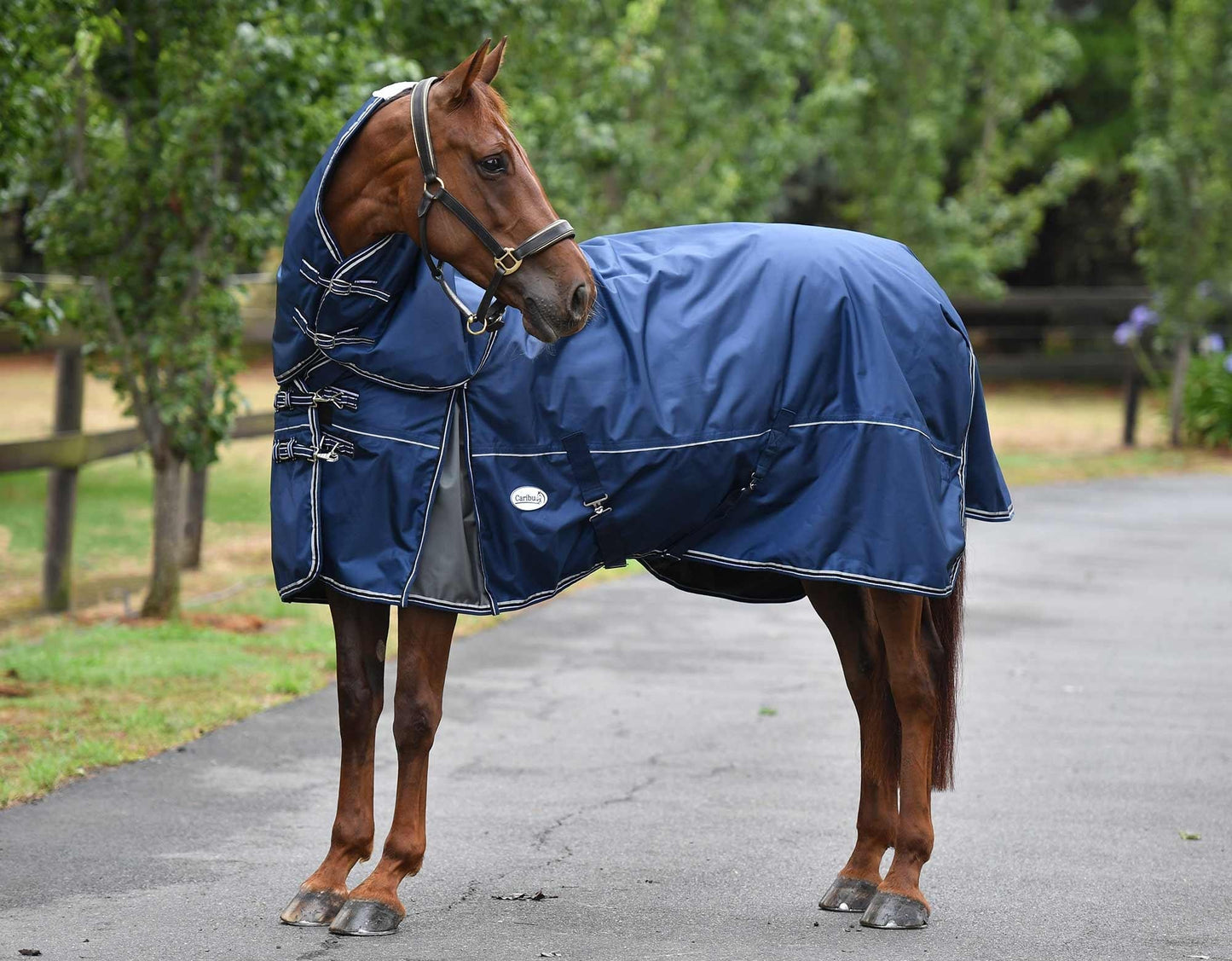 Caribu Colorado Detach-a-Neck Horse Rug 250g