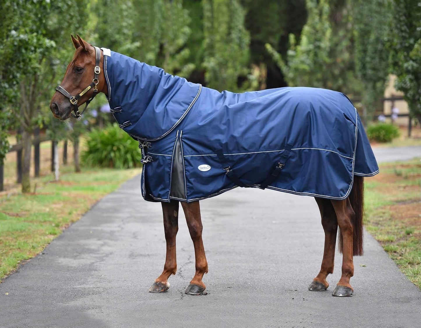 Caribu Colorado Detach-a-Neck Horse Rug 250g