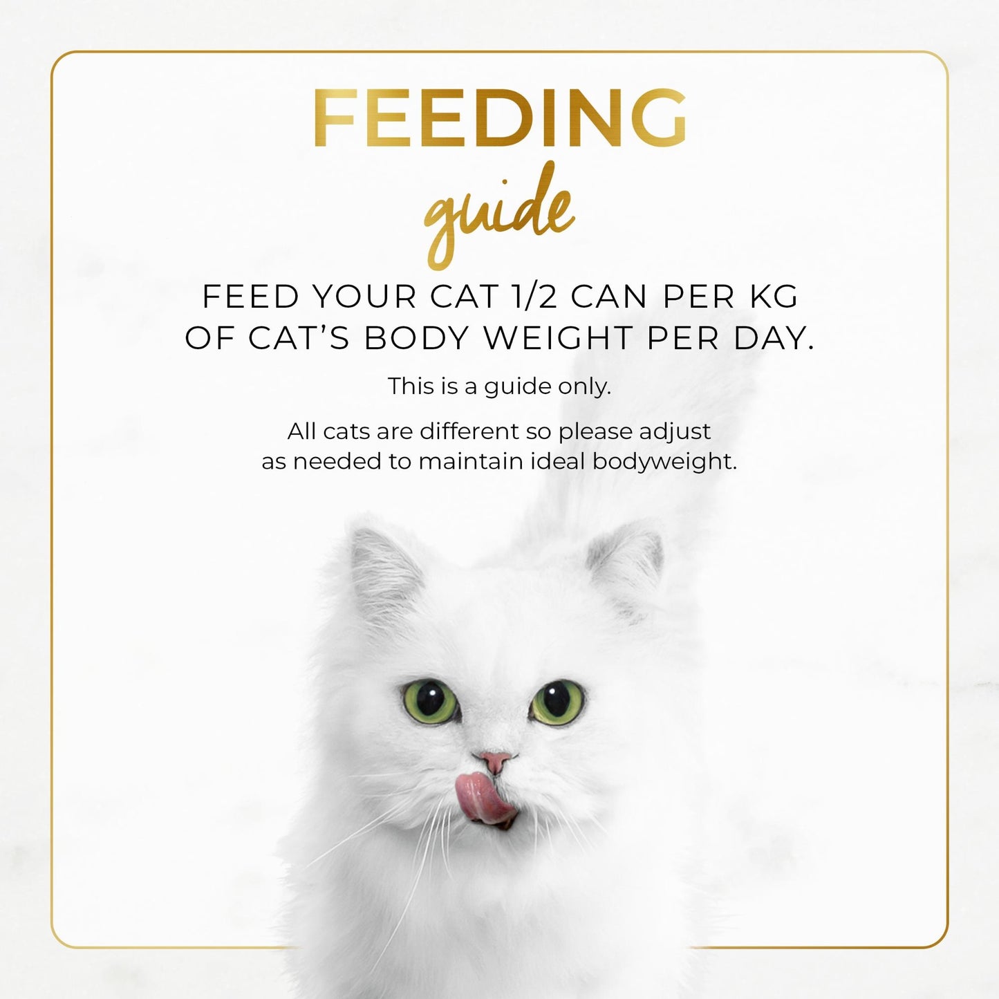 Fancy Feast Classic Pate Savoury Salmon Feast Wet Cat Food 85g