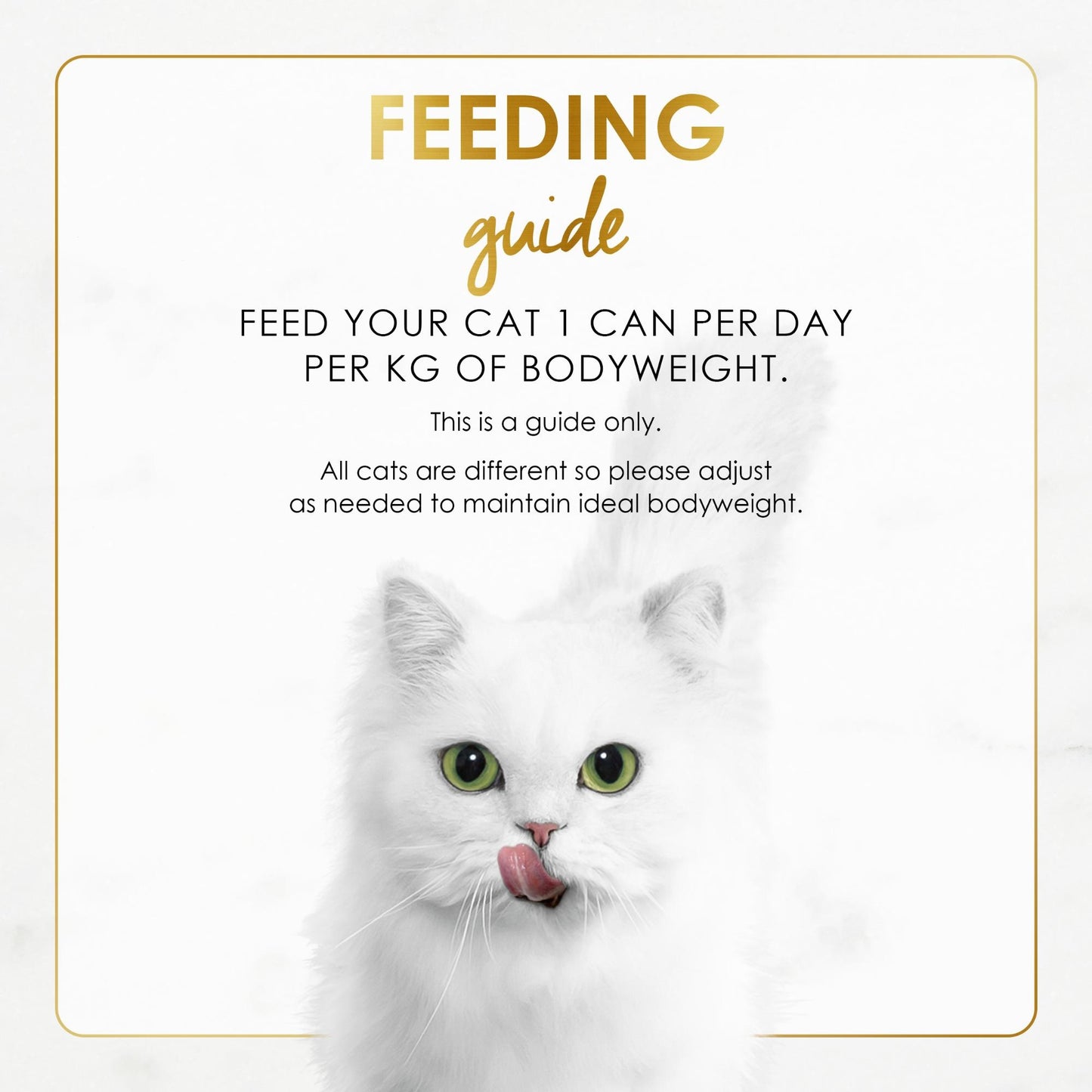 Fancy Feast Grilled Salmon Feast in Gravy Wet Cat Food 85g