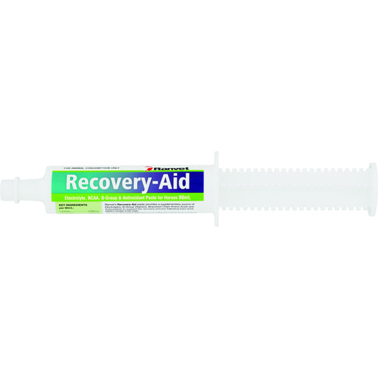 Ranvet Recovery Aid Horse Drench Paste