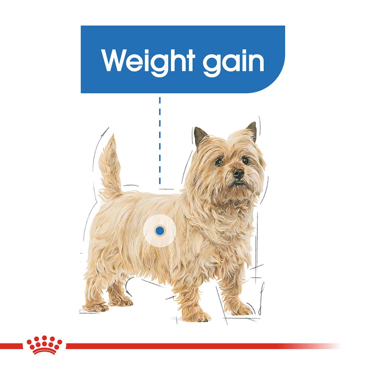 Royal Canin Light Weight Care Adult Loaf Wet Dog Food 85g