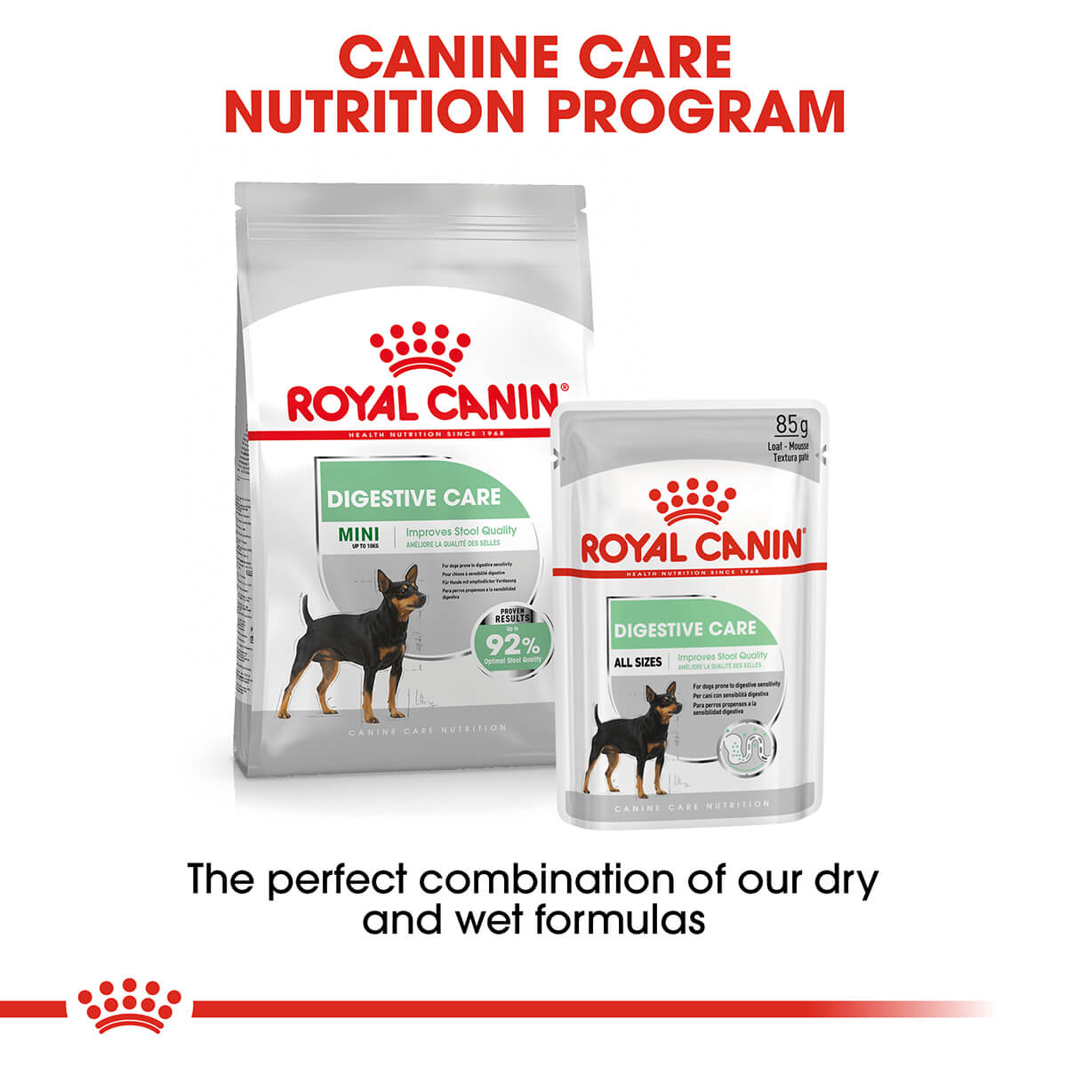 Royal Canin Digestive Care Loaf Adult Wet Dog Food 85G