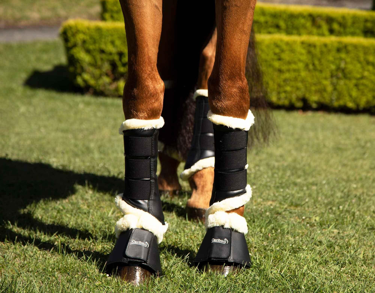 Caribu Fleece-Lined Brushing Horse Boots