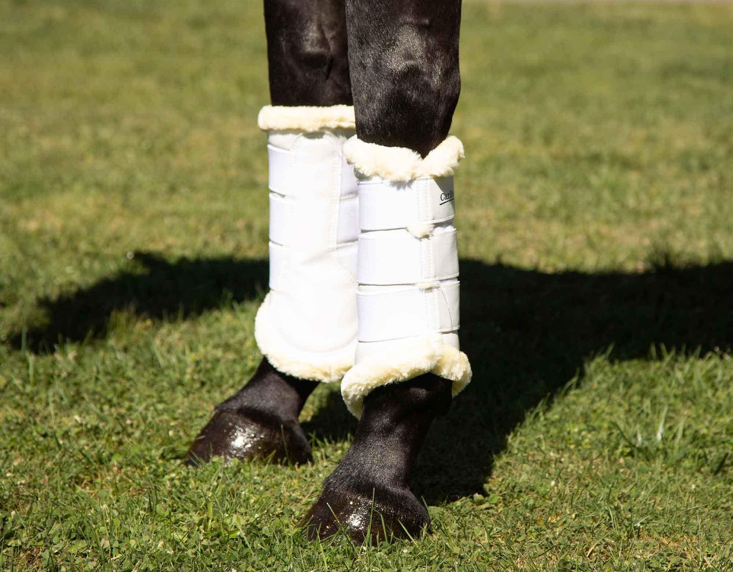 Caribu Fleece-Lined Brushing Horse Boots