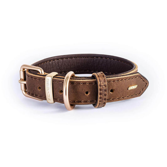 EzyDog Oxford Dog Collar