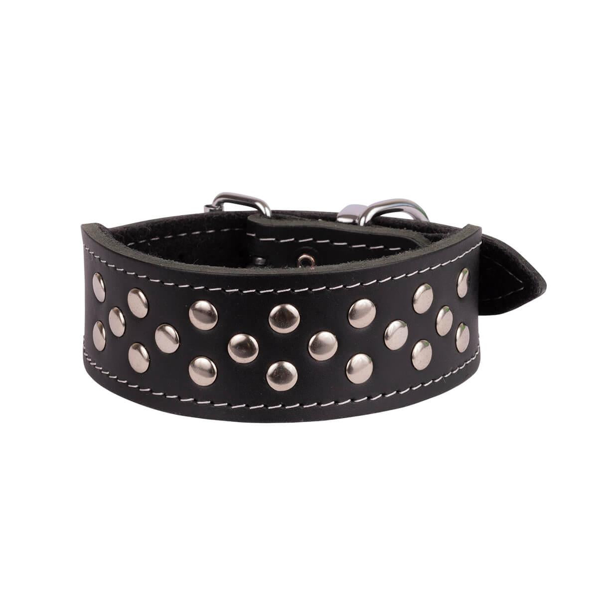 BEAU Pets Leather Whippet Studded Collar