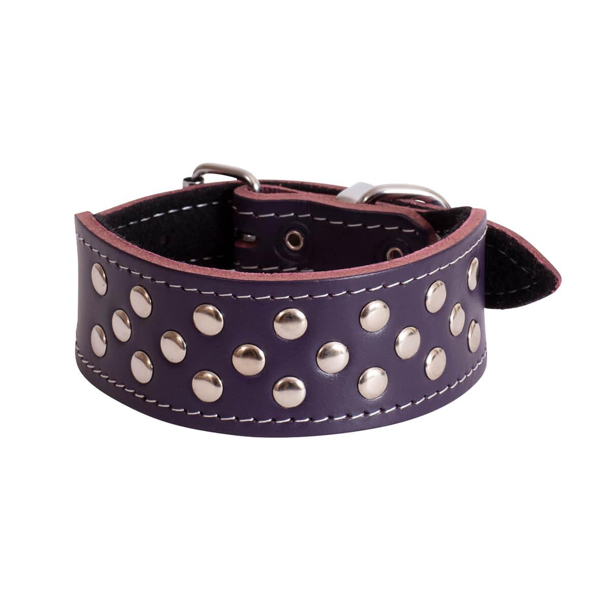 BEAU Pets Leather Whippet Studded Collar