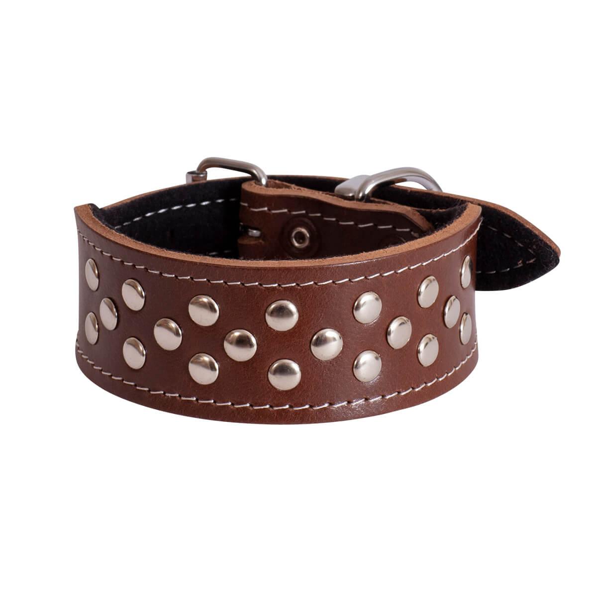 BEAU Pets Leather Whippet Studded Collar