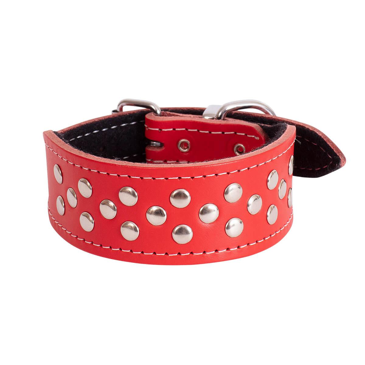 BEAU Pets Leather Whippet Studded Collar