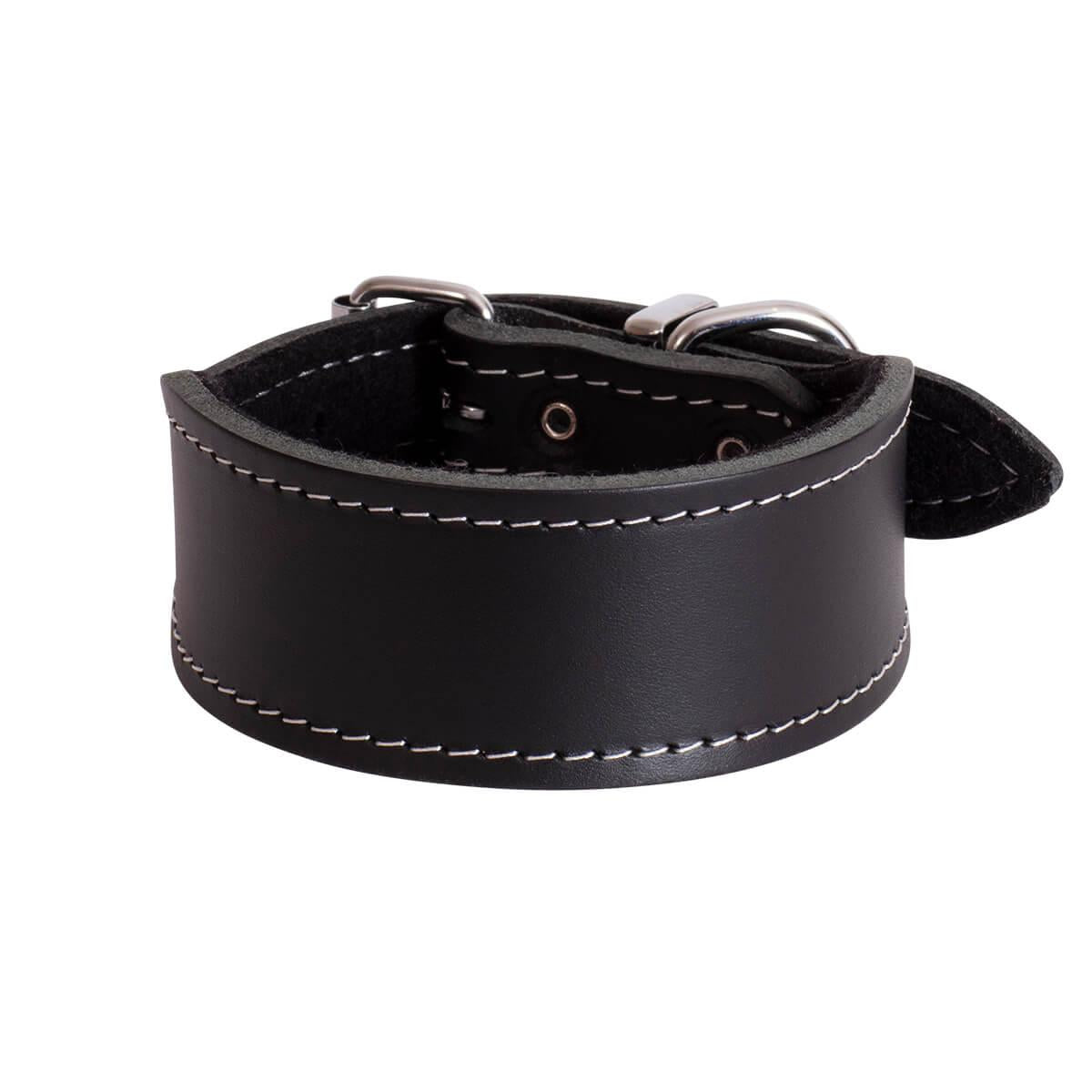 BEAU Pets Leather Whippet Dog Collar