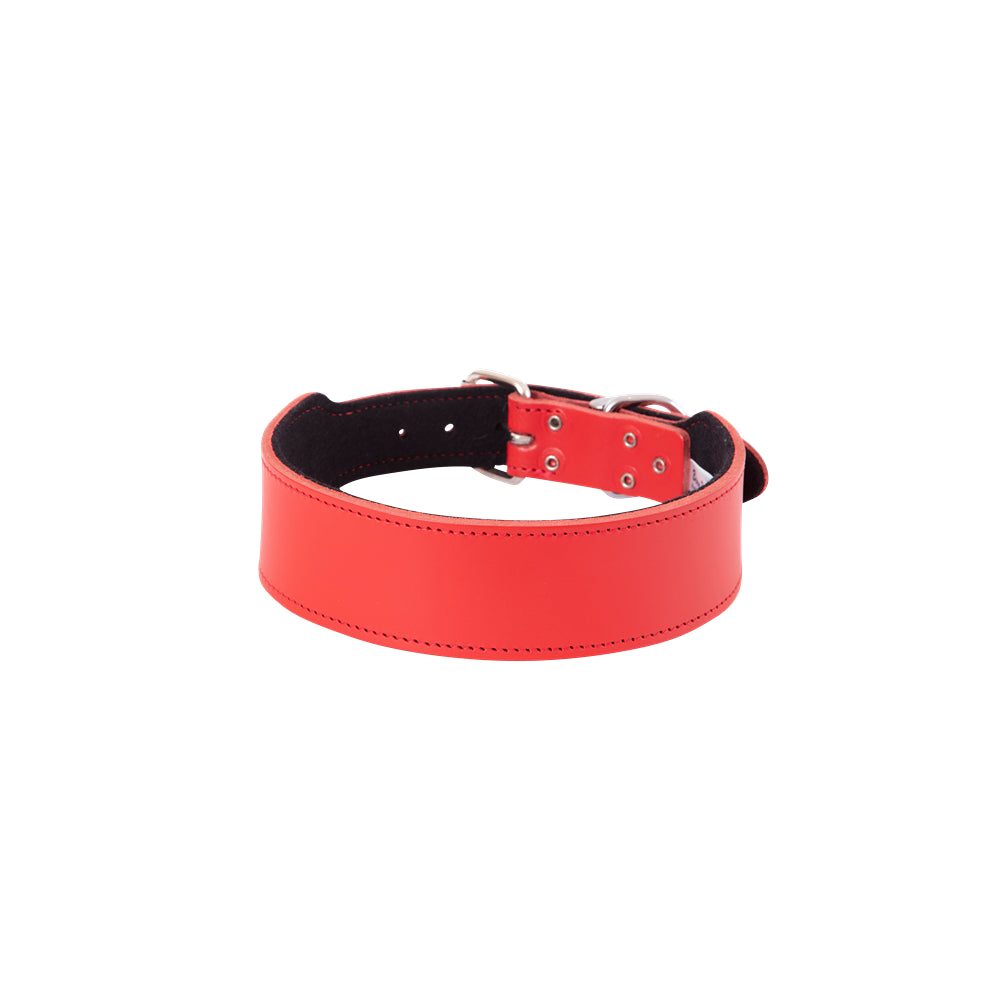 BEAU Pets Leather Staffy Dog Collar