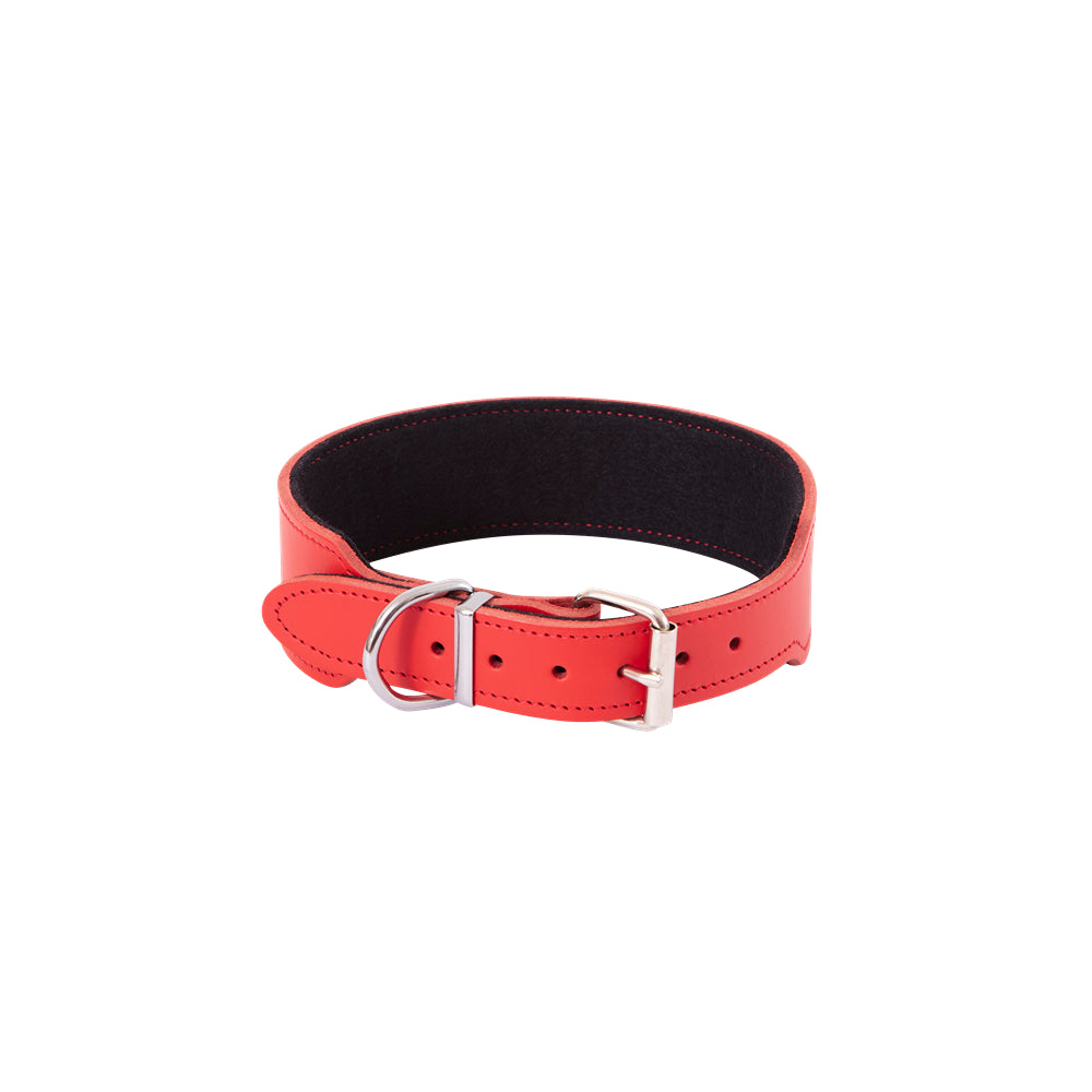 BEAU Pets Leather Staffy Dog Collar