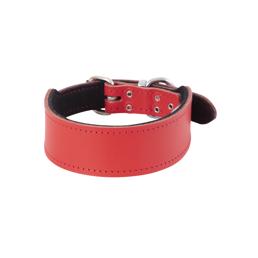 BEAU Pets Leather Staffy Dog Collar