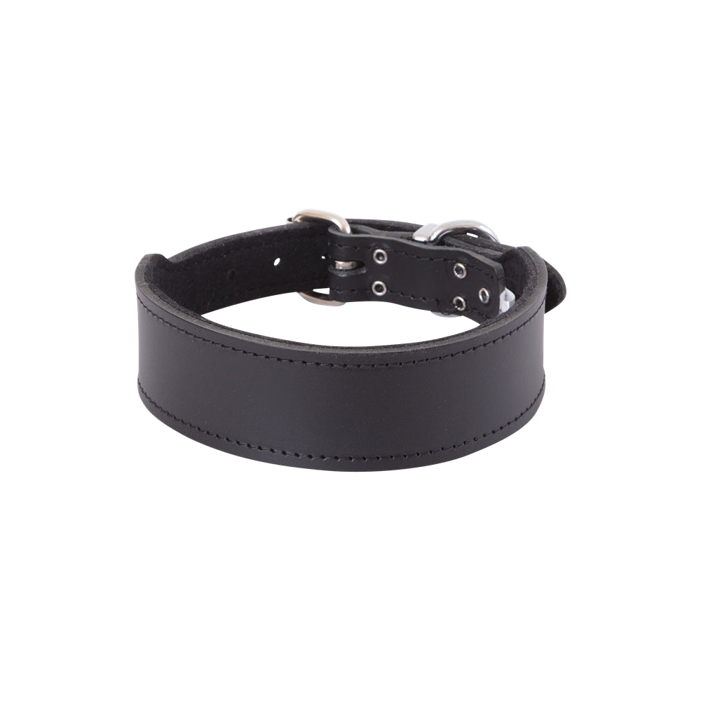 BEAU Pets Leather Staffy Dog Collar