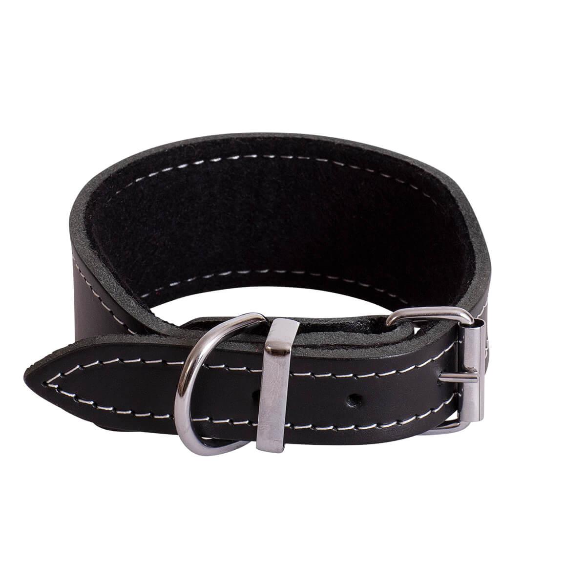 BEAU Pets Leather Whippet Dog Collar