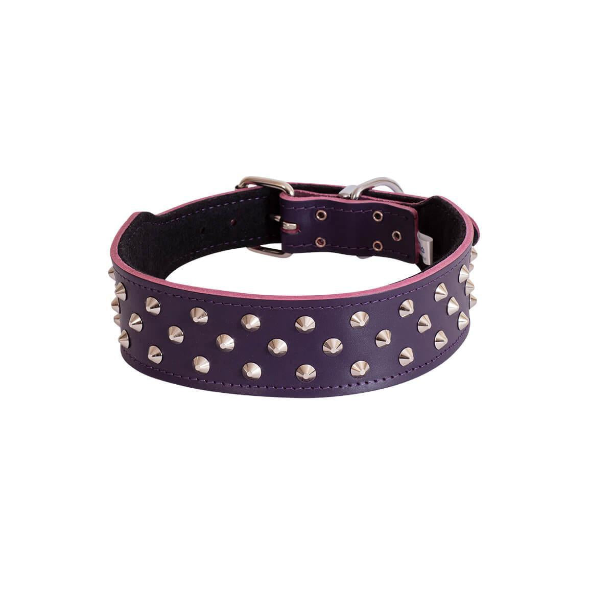 BEAU Pets Leather Staffy Studded Dog Collar