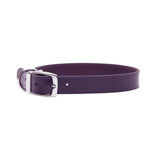 BEAU Pets Leather Deluxe Dog Collar