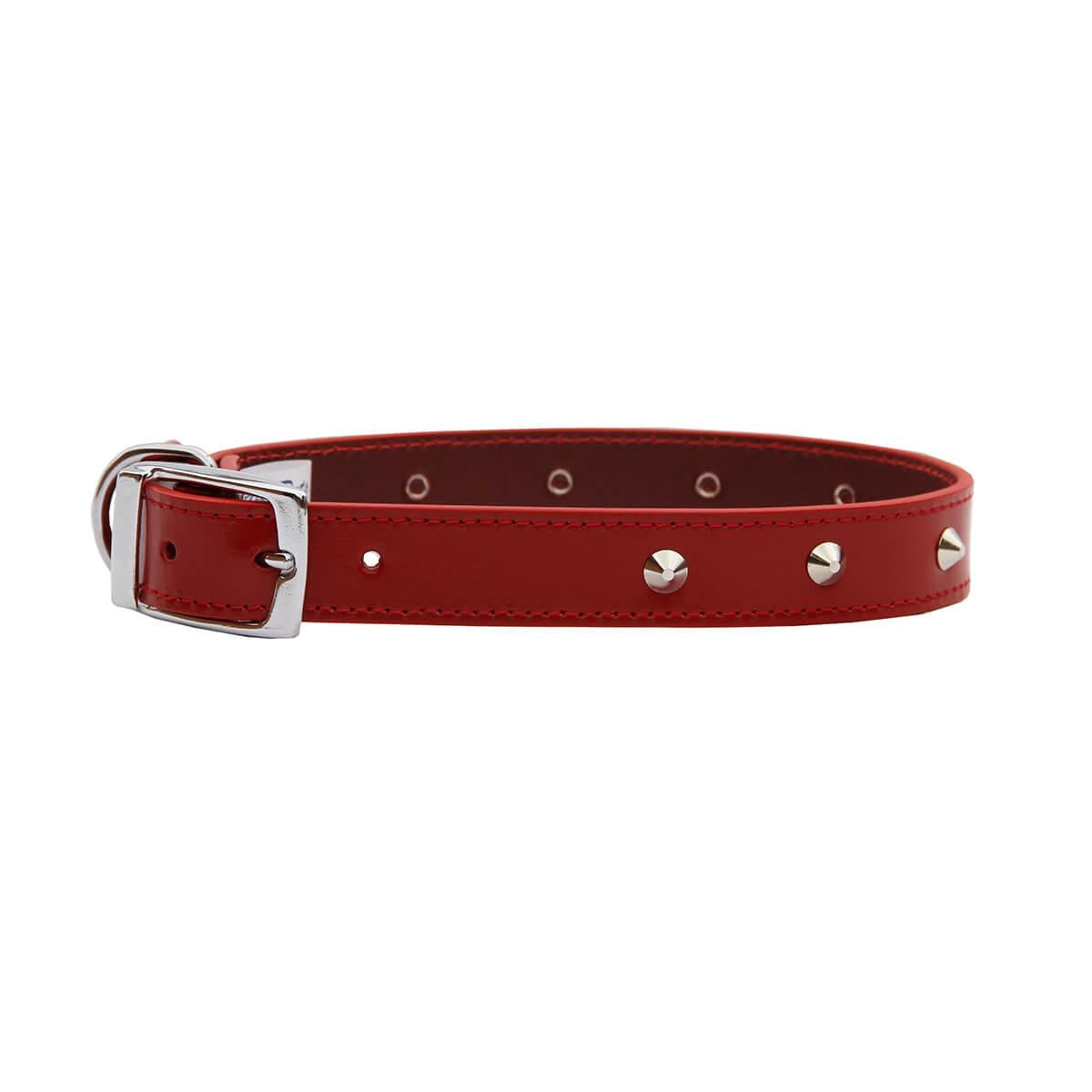 BEAU Pets Leather Deluxe Studded Dog Collar