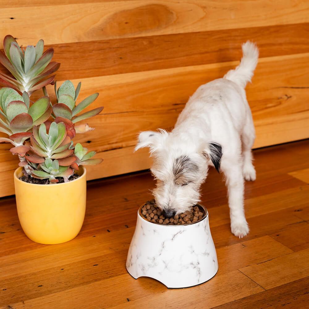 Buddy & Belle Tall Melamine Marble Dog Bowl