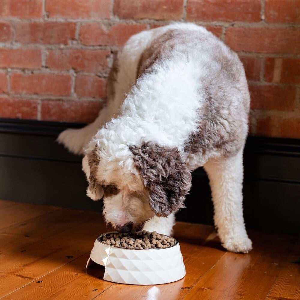 Buddy & Belle Diamond Melamine Dog Bowl