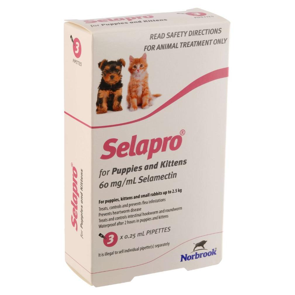 Selapro Spot On Treatment <2.5kg Kitten & Puppy